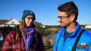 Birding in Assateague