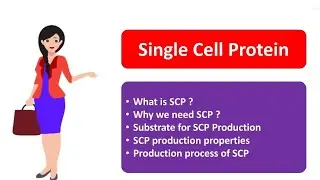 Single Cell Protein | SCP | Production | What is SCP | Hindi