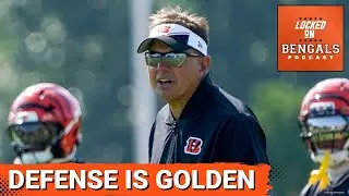 Cincinnati Bengals Defense Ready for Week 1: Will Al Golden's Plan Lead to Wins?