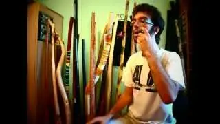 Chancelor nova jew's harp