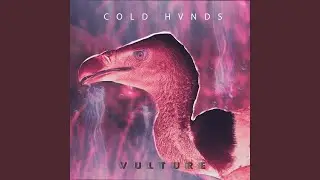 Vulture
