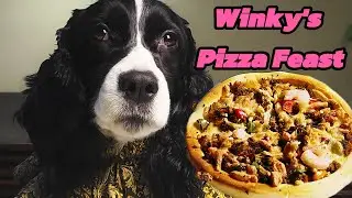 Winky&rsquo;s Ultimate PIZZA NIGHT! 🍕 Beef Heart & Ground Beef (Lactose-Free Recipe)