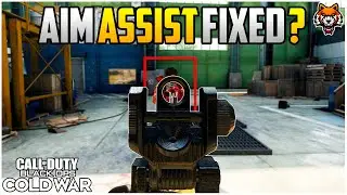 How Aim Assist Works After Update 1.06 In Black Ops Cold War