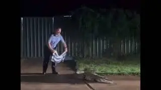 screaming in public restrooms prank - alligator