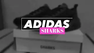 Обзор на кроссовки Adidas Sharks