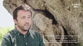 #10 Morgado do Quint&atilde;o - Rubrica 