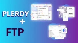 Video tutorial on installing Plerdy services script using FTP