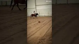 Guys everything&rsquo;s fine just freedom is sick so I am riding a different horse hope he feels better