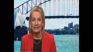 Sussan Ley speaks on Yang Hengjun family's plea to Anthony Albanese - Newsful Fox Updates