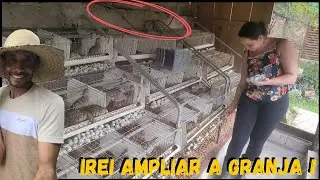 Iremos ampliar o Criatorio , será que vale a pena  @TILAPIAMinhaVida #rural #family 