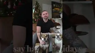 Real Estate Agent vs Dogs Holiday Fail