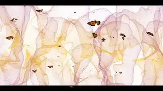 NEW Emotional Ambient PoP Piano beat
