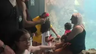 Summer Holiday 2019(9)