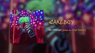 CAKEBOY-НА ПОВОДУ [prod.by ACID TIMMY]