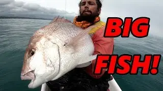 Catching BIG fish on the wild west coast! Mavic Air test