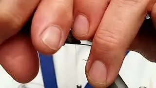 MOSCAS DESDE CERO  56 NIFA DE LA MOSCA DE LA PIEDRA  STONFLY