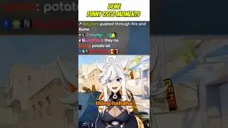 @demeVT #vtuberclips #vtuber #funny #funnyshorts #csgo #comedy #clips #envtuber