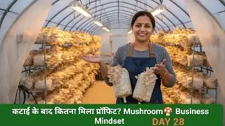 कटाई के बाद कितना मिला प्रॉफिट?Mushroom🍄Business||mushroom farming for beginners||mushroom ki kheti 