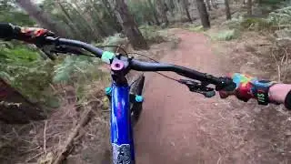 Slowly down Singletrack at Chicksands - a nice blue line to get you started riding at Chicksands!
