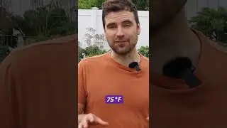 How to Transplant Lettuce Seedlings