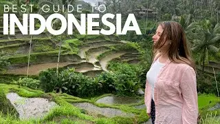 The ONLY guide around Indonesia you'll ever need | SHOULD I VISIT KOMODO ISLAND? pt.2