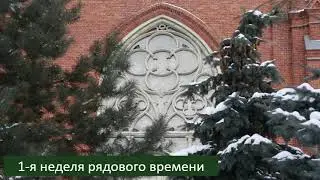 17.01.2026 Св. Месса в 7:45