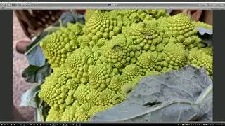 Nokia 9 Sample Photos 3D Parallax