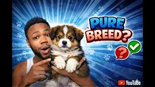 You can Never Forget Your First Dog 🐶.