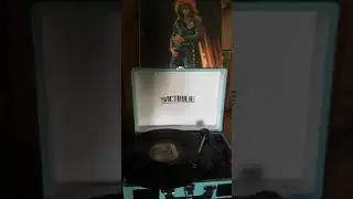 Vicious vinyl