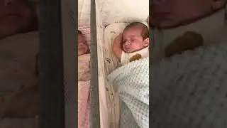 Twins! Newborn Twins! 7 weeks old! Boy and Girl Twins! #shorts