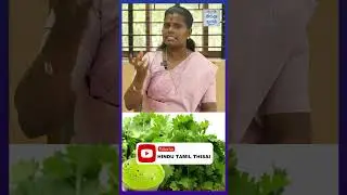 Oily dandruff இருந்தா இதை செய்து பாருங்க... | Dr.Deepa | Epi - 75 | HTT