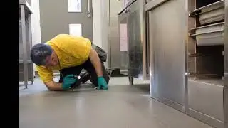Chambers Pest Solutions