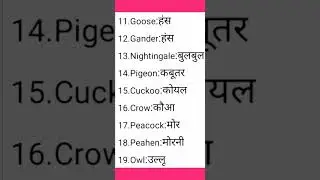 English new word meaning#vocablary #newfast #2024 #shortvideo ,#daily long short sentens#💯🙏✨✨✨