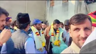 Golu bhai ka shok 2336 kabutar ka Record bna diya 11-01-2026