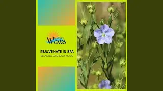 Relaxing Rhythm