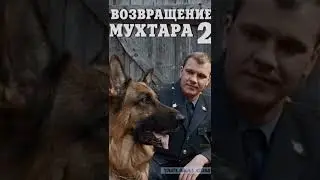 старые фильмы про собак 🙂 Maxibit 2020.