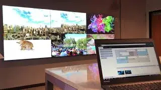 Planar&reg; WallDirector&trade; Software