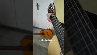 ✨blindind lights✨🎼🎶song for guitar!#viral #music lesson for amaters #music