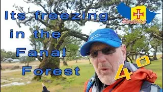 Fanal Forest FAIL AGAIN, Madeira bad Weather