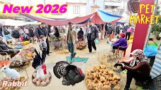 Explore the poultry market, pet birds, and many beautiful animal breeds.