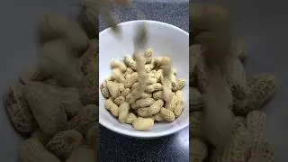 #peanuts  in shell #roasted  #shorts