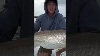 The Fish Loved Him😳🐟 #viral #funny