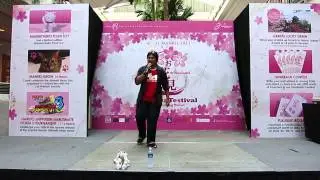 お花見 Sakura Festival 2013 - Karma (QB-Sensei)