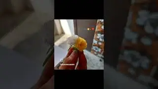 Mai duniya bhar ki tareefe #reel #oldsong