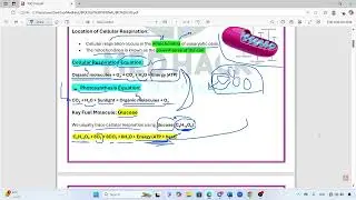 Chapter 9 Biology - Cellular Respiration