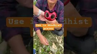 Kangling||HUMAN BONE|| USE FOR prayer and rituals #viral #religion #youtubeshorts #shorts
