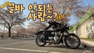 #트라이엄프 #t120 나만 안되는 끌바/ 윤꿍이가 끌바하는법/ 따라하지 마세요.