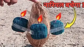 What Happened When I Lit Coonuts With 3 Sutli  Bombs ? - Nariyel vs Sutli Bom