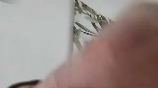 ezca