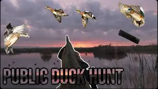 Public Land Duck Hunt in California | Small Pond and Small Decoy Spread